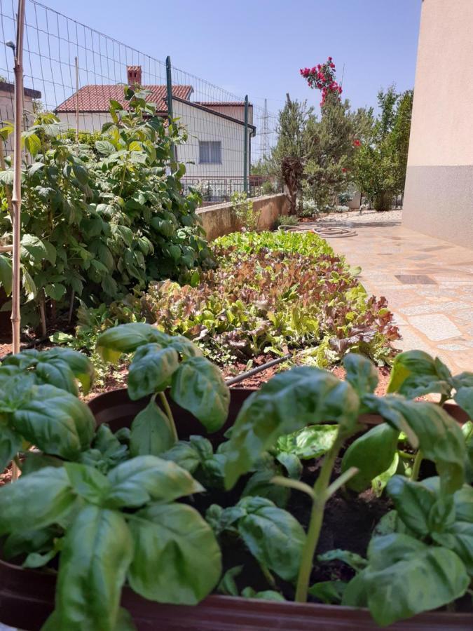 Apartman Morje