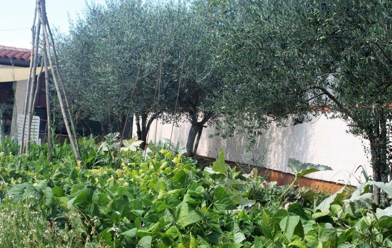 Morje Apartman Umag